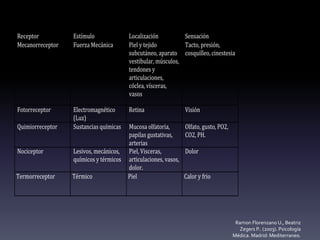 Ramon Florenzano U., Beatriz
Zegers P.. (2003). Psicología
Médica. Madrid: Mediterraneo.
Receptor Estímulo Localización Sensación
Mecanorreceptor Fuerza Mecánica Piel y tejido
subcutáneo, aparato
vestibular, músculos,
tendones y
articulaciones,
cóclea, vísceras,
vasos
Tacto, presión,
cosquilleo, cinestesia
Fotorreceptor Electromagnético
(Luz)
Retina Visión
Quimiorreceptor Sustancias químicas Mucosa olfatoria,
papilas gustativas,
arterias
Olfato, gusto, PO2,
CO2, PH.
Nociceptor Lesivos, mecánicos,
químicos y térmicos
Piel, Visceras,
articulaciones, vasos,
dolor.
Dolor
Termorreceptor Térmico Piel Calor y frio
 