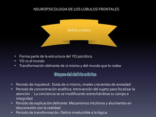NEUROPSICOLOGIA DE LOS LOBULOS FRONTALES
Delirio crónico
• Forma parte de la estructura del YO psicótico.
• YO vs el mundo
• Transformación delirante de sí mismo y del mundo que lo rodea
• Periodo de inquietud: Duda de si mismo, niveles crecientes de ansiedad
• Periodo de concentración analítica: Introversión del sujeto para focalizar la
atención . ¨La conciencia se va modificando estrechándose su campo e
integridad
• Periodo de explicación delirante: Mecanismos intuitivos y alucinantes en
desconexión con la realidad.
• Periodo de transformación: Delirio irreductible a la lógica
 