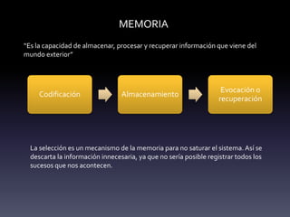 MEMORIA
“Es la capacidad de almacenar, procesar y recuperar información que viene del
mundo exterior”
Codificación Almacenamiento
Evocación o
recuperación
La selección es un mecanismo de la memoria para no saturar el sistema.Así se
descarta la información innecesaria, ya que no sería posible registrar todos los
sucesos que nos acontecen.
 