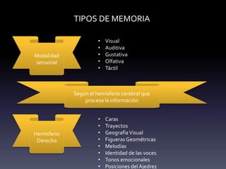 TIPOS DE MEMORIA
Modalidad
sensorial
• Visual
• Auditiva
• Gustativa
• Olfativa
• Táctil
Según el hemisferio cerebral que
procesa la información
Hemisferio
Derecho
• Caras
• Trayectos
• GeografíaVisual
• Figueras Geométricas
• Melodías
• Identidad de las voces
• Tonos emocionales
• Posiciones del Ajedrez
 
