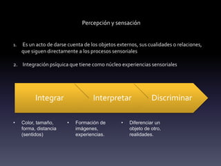 Percepción y sensación
1. Es un acto de darse cuenta de los objetos externos, sus cualidades o relaciones,
que siguen directamente a los procesos sensoriales
2. Integración psíquica que tiene como núcleo experiencias sensoriales
Integrar Interpretar Discriminar
• Color, tamaño,
forma, distancia
(sentidos)
• Formación de
imágenes,
experiencias.
• Diferenciar un
objeto de otro,
realidades.
 