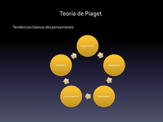 Teoría de Piaget
Tendencias básicas del pensamiento
Organización
Adaptación
Asimilación
Acomodación
Equilibrio
 
