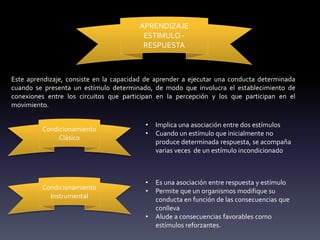 APRENDIZAJE
ESTIMULO -
RESPUESTA
Este aprendizaje, consiste en la capacidad de aprender a ejecutar una conducta determinada
cuando se presenta un estímulo determinado, de modo que involucra el establecimiento de
conexiones entre los circuitos que participan en la percepción y los que participan en el
movimiento.
Condicionamiento
Clásico
Condicionamiento
Instrumental
• Implica una asociación entre dos estímulos
• Cuando un estímulo que inicialmente no
produce determinada respuesta, se acompaña
varias veces de un estímulo incondicionado
• Es una asociación entre respuesta y estímulo
• Permite que un organismos modifique su
conducta en función de las consecuencias que
conlleva
• Alude a consecuencias favorables como
estímulos reforzantes.
 