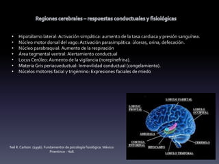 • Hipotálamo lateral: Activación simpática: aumento de la tasa cardiaca y presión sanguínea.
• Núcleo motor dorsal del vago: Activación parasimpática: úlceras, orina, defecación.
• Núcleo parabraquial: Aumento de la respiración
• Área tegmental ventral: Alertamiento conductual
• Locus Cerúleo: Aumento de la vigilancia (norepinefrina).
• Materia Gris periacueductual: Inmovilidad conductual (congelamiento).
• Núcelos motores facial y trigémino: Expresiones faciales de miedo
Nel R. Carlson. (1996). Fundamentos de psicología fisiológica. México:
Prientince - Hall.
 
