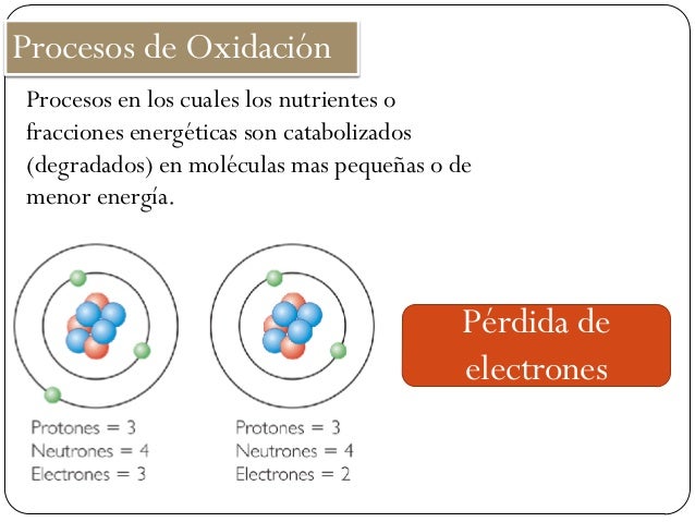 OXIDACION Y REDUCCION