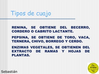 Tipos de cuajo RENINA, SE OBTIENE DEL BECERRO, CORDERO O CABRITO LACTANTE.  PEPSINA, SE OBTIENE DE TORO, VACA, TERNERA, CHIVO, BORREGO Y CERDO. ENZIMAS VEGETALES, SE OBTIENEN DEL EXTRACTO DE RAMAS Y HOJAS DE PLANTAS. Sebastián 