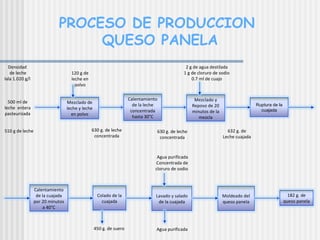 PROCESO DE PRODUCCION  QUESO PANELA Moldeado del queso panela Colado de la cuajada Lavado y salado de la cuajada Ruptura de la cuajada Calentamiento de la cuajada por 20 minutos a 40°C 120 g de leche en polvo 500 ml de leche  entera pasteurizada 2 g de agua destilada 1 g de cloruro de sodio 0.7 ml de cuajo 630 g. de leche concentrada Mezclado de leche y leche en polvo Calentamiento de la leche concentrada hasta 30°C Mezclado y Reposo de 20 minutos de la mezcla 630 g. de leche concentrada 632 g. de Leche cuajada 450 g. de suero Agua purificada Concentrada de cloruro de sodio Agua purificada 182 g. de queso panela Densidad  de leche lala 1.020 g/l  510 g de leche 