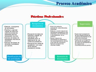Proceso AcadémicoProceso Académico
Prácticas ProfesionalesPrácticas Profesionales
 