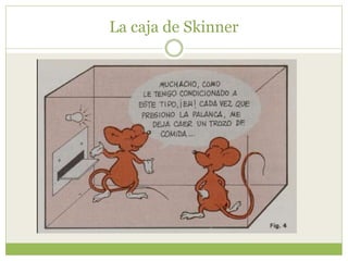 La caja de Skinner
 