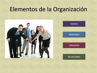 TAREAS



PERSONAS



ORGANOS



RELACIONES
 