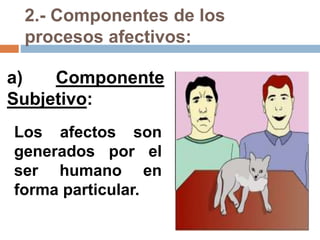 2.- Componentes de los
procesos afectivos:
a) Componente
Subjetivo:
Los afectos son
generados por el
ser humano en
forma particular.