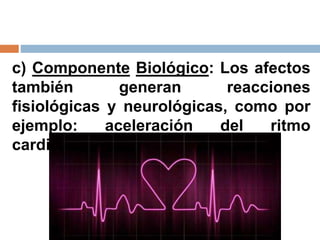 c) Componente Biológico: Los afectos
también generan reacciones
fisiológicas y neurológicas, como por
ejemplo: aceleración del ritmo
cardiaco.