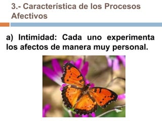 3.- Característica de los Procesos
Afectivos
a) Intimidad: Cada uno experimenta
los afectos de manera muy personal.