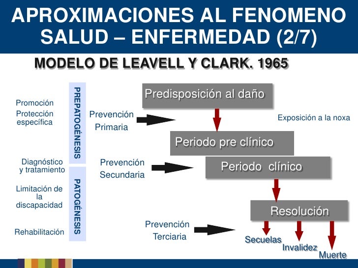 Modelo De Leavell Y Clark Proceso Salud Enfermedad