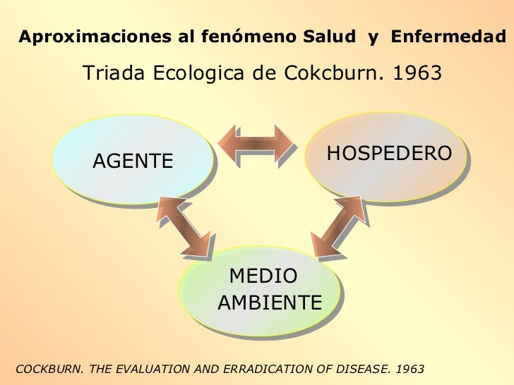 Proceso salud enfermedad