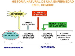 ETAPA DEETAPA DE
SUSCEPTIBILIDADSUSCEPTIBILIDAD
PRE-PATOGENICOPRE-PATOGENICO
ETAPA DEETAPA DE
ENFERMEDADENFERMEDAD
SUB-CLINICASUB-CLINICA
ETAPA DEETAPA DE
RECUPERACION,RECUPERACION,
INCAPACIDADINCAPACIDAD
O MUERTEO MUERTE
PATOGENICOPATOGENICO
ETAPA DEETAPA DE
ENFERMEDADENFERMEDAD
CLINICACLINICA
CAMBIOSCAMBIOS
PATOLOGICOSPATOLOGICOS
COMIENZOCOMIENZO
DE SINTOMASDE SINTOMASEXPOSICIONEXPOSICION
MOMENTO USUALMOMENTO USUAL
DE DIAGNOSTICODE DIAGNOSTICO
HISTORIA NATURAL DE UNA ENFERMEDAD
EN EL HOMBRE
 