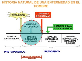ETAPA DEETAPA DE
SUSCEPTIBILIDADSUSCEPTIBILIDAD
PRE-PATOGENICOPRE-PATOGENICO
ETAPA DEETAPA DE
ENFERMEDADENFERMEDAD
SUB-CLINICASUB-CLINICA
ETAPA DEETAPA DE
RECUPERACION,RECUPERACION,
INCAPACIDADINCAPACIDAD
O MUERTEO MUERTE
PATOGENICOPATOGENICO
ETAPA DEETAPA DE
ENFERMEDADENFERMEDAD
CLINICACLINICA
CAMBIOSCAMBIOS
PATOLOGICOSPATOLOGICOS
COMIENZOCOMIENZO
DE SINTOMASDE SINTOMASEXPOSICIONEXPOSICION
MOMENTO USUALMOMENTO USUAL
DE DIAGNOSTICODE DIAGNOSTICO
HISTORIA NATURAL DE UNA ENFERMEDAD EN EL
HOMBRE
Periodo de IncubaciónPeriodo de Incubación
o Latenciao Latencia
 