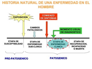 ETAPA DEETAPA DE
SUSCEPTIBILIDADSUSCEPTIBILIDAD
PRE-PATOGENICOPRE-PATOGENICO
ETAPA DEETAPA DE
ENFERMEDADENFERMEDAD
SUB-CLINICASUB-CLINICA
ETAPA DEETAPA DE
RECUPERACION,RECUPERACION,
INCAPACIDADINCAPACIDAD
O MUERTEO MUERTE
PATOGENICOPATOGENICO
ETAPA DEETAPA DE
ENFERMEDADENFERMEDAD
CLINICACLINICA
CAMBIOSCAMBIOS
PATOLOGICOSPATOLOGICOS
COMIENZOCOMIENZO
DE SINTOMASDE SINTOMASEXPOSICIONEXPOSICION
MOMENTO USUALMOMENTO USUAL
DE DIAGNOSTICODE DIAGNOSTICO
HISTORIA NATURAL DE UNA ENFERMEDAD EN EL
HOMBRE
 