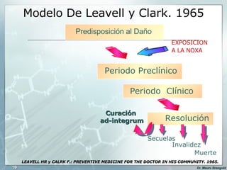 Modelo De Leavell y Clark. 1965 EXPOSICION A LA NOXA Predisposición al Daño Periodo Preclínico Periodo  Clínico Resolución Secuelas Invalidez Muerte Curación  ad-integrum LEAVELL HR y CALRK F.: PREVENTIVE MEDICINE FOR THE DOCTOR IN HIS COMMUNITY. 1965. 