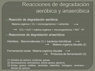 

Reacción de degradación aeróbica
Materia orgánica + O2 + microorganismos + nutrientes
+

CO2 + H2O + materia orgánica + microorganismos + NH4 +P


Reacciones de degradación anaeróbica

Hidrólisis: Macromoléculas (1) + bacterias hidrolíticas
Materia orgánica disuelta (2)
Fermentación ácida: Materia orgánica disuelta
Productos de fermentación (3)
(1) Hidratos de carbono, proteínas, grasas.
(2) Monosacáricos, aminoácidos, ácidos grasos, glicerina.
(3) Ácidos grasos volátiles, alcoholes, aldehídos, hidrógeno, amoniaco ,
dióxido de carbono.

 