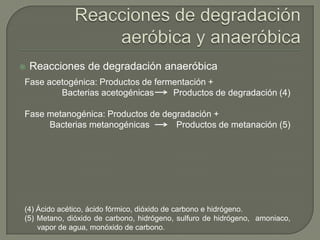 

Reacciones de degradación anaeróbica

Fase acetogénica: Productos de fermentación +
Bacterias acetogénicas
Productos de degradación (4)
Fase metanogénica: Productos de degradación +
Bacterias metanogénicas
Productos de metanación (5)

(4) Ácido acético, ácido fórmico, dióxido de carbono e hidrógeno.
(5) Metano, dióxido de carbono, hidrógeno, sulfuro de hidrógeno, amoniaco,
vapor de agua, monóxido de carbono.

 