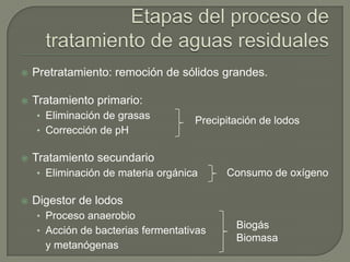 

Pretratamiento: remoción de sólidos grandes.



Tratamiento primario:
• Eliminación de grasas
• Corrección de pH



Precipitación de lodos

Tratamiento secundario
• Eliminación de materia orgánica



Consumo de oxígeno

Digestor de lodos
• Proceso anaerobio
• Acción de bacterias fermentativas

y metanógenas

Biogás
Biomasa

 