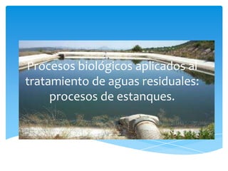 Procesos biológicos aplicados al
tratamiento de aguas residuales:
     procesos de estanques.
 