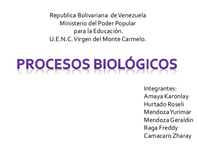 Procesos biologicos