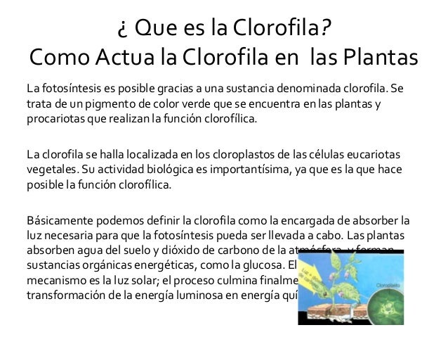 Procesos biologicos Procesos biologicos