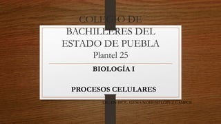 COLEGIO DE 
BACHILLERES DEL 
ESTADO DE PUEBLA 
Plantel 25 
BIOLOGÍA I 
PROCESOS CELULARES 
LIC. EN BIOL. GEMA NOHEMÍ LÓPEZ CAMPOS 
 