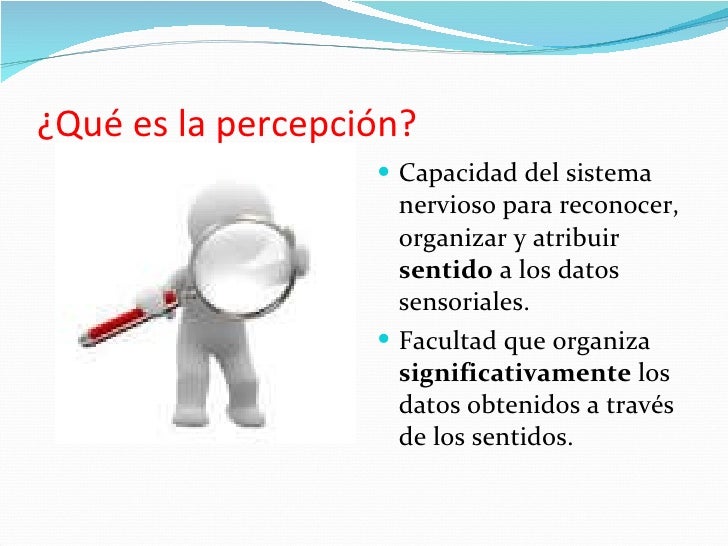 Resultado de imagen para procesos cognitivos basicos percepcion