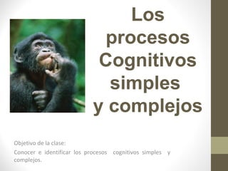 Los
procesos
Cognitivos
simples
y complejos
Objetivo de la clase:
Conocer e identificar los procesos cognitivos simples y
complejos.

 