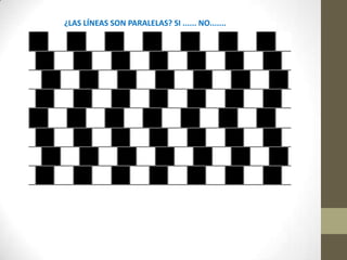 ¿LAS LÍNEAS SON PARALELAS? SI ...... NO.......

 