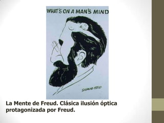 La Mente de Freud. Clásica ilusión óptica
protagonizada por Freud.

 