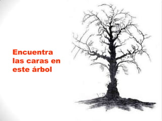 Encuentra
las caras en
este árbol

 