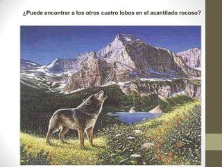 ¿Puede encontrar a los otros cuatro lobos en el acantilado rocoso?

 