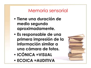 Memoria sensorial
• Tiene una duración de
medio segundo
aproximadamente.
• Es responsable de una
primera impresión de la
información similar a
una cámara de fotos.
• ICÓNICA =VISUAL
• ECOICA =AUDITIVA

 