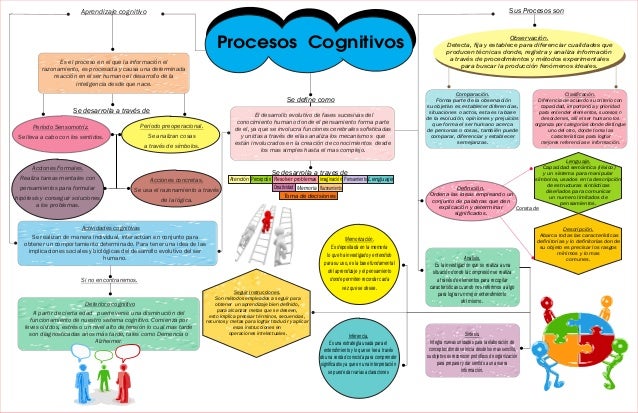 Procesos cognitivos