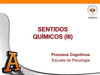 SENTIDOS
QUÍMICOS (III)

      Procesos Cognitivos
      Escuela de Psicología
 