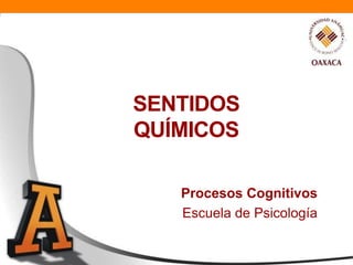 SENTIDOS
QUÍMICOS (II)

     Procesos Cognitivos
     Escuela de Psicología
 