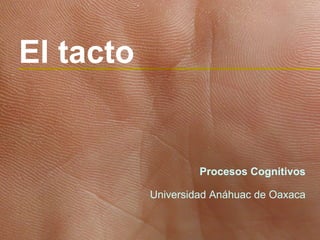 El tacto


                    Procesos Cognitivos

           Universidad Anáhuac de Oaxaca
 