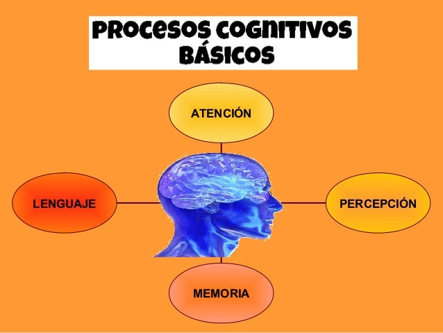 Procesos cognitivos básicos