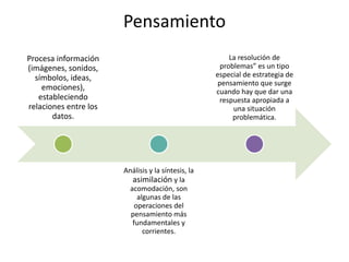 Pensamiento
Procesa información
(imágenes, sonidos,
símbolos, ideas,
emociones),
estableciendo
relaciones entre los
datos.
Análisis y la síntesis, la
asimilación y la
acomodación, son
algunas de las
operaciones del
pensamiento más
fundamentales y
corrientes.
La resolución de
problemas” es un tipo
especial de estrategia de
pensamiento que surge
cuando hay que dar una
respuesta apropiada a
una situación
problemática.
 