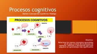 Procesos cognitivos
Marlen Concepción Gutiérrez Hidalgo
Objetivo:
Relaciona los nuevos conceptos aprendidos
en el aula a través de el proceso de
memoria, atención y percepción para que
adquiera un aprendizaje mas significativo.
 