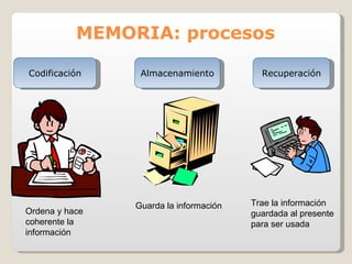 MEMORIA: procesos Codificación Almacenamiento Recuperación Ordena y hace coherente la información Guarda la información Trae la información guardada al presente para ser usada 