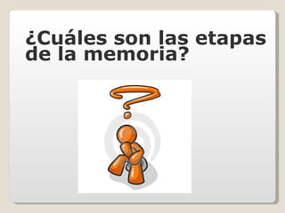 ¿Cuáles son las etapas de la memoria? 