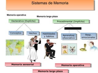 Sistemas de Memoria Memoria sensorial Memoria operativa Memoria largo plazo El qué El cómo Memoria operativa Memoria sensorial Memoria largo plazo Declarativa (Explícita) Procedimental (Implícita) Hechos Conceptos  Resp. emocionales AprendizajeAsociativo Habilidades y hábitos 