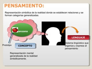 PENSAMIENTO:  LENGUAJE Prototipo CONCEPTO Representación mental generalizada de la realidad simbólicamente. Sistema lingüístico que organiza y expresa al pensamiento Representación simbólica de la realidad donde se establecen relaciones y se forman categorías generalizadas. manzana 