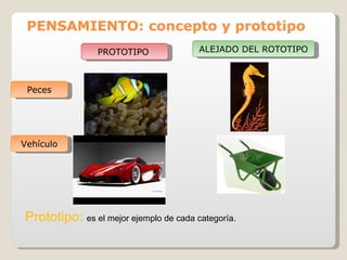 PENSAMIENTO: concepto y prototipo   PROTOTIPO  ALEJADO DEL ROTOTIPO Peces Vehículo Prototipo:  es el mejor ejemplo de cada categoría. 