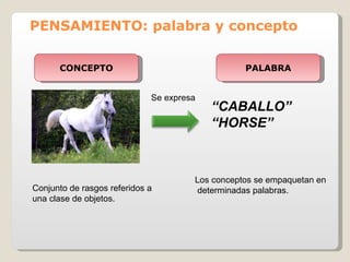 PENSAMIENTO: palabra y concepto   CONCEPTO PALABRA “ CABALLO” “ HORSE” Conjunto de rasgos referidos a una clase de objetos. Los conceptos se empaquetan en  determinadas palabras. Se expresa 
